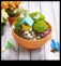 DIY Fairy Gardens pentru copii