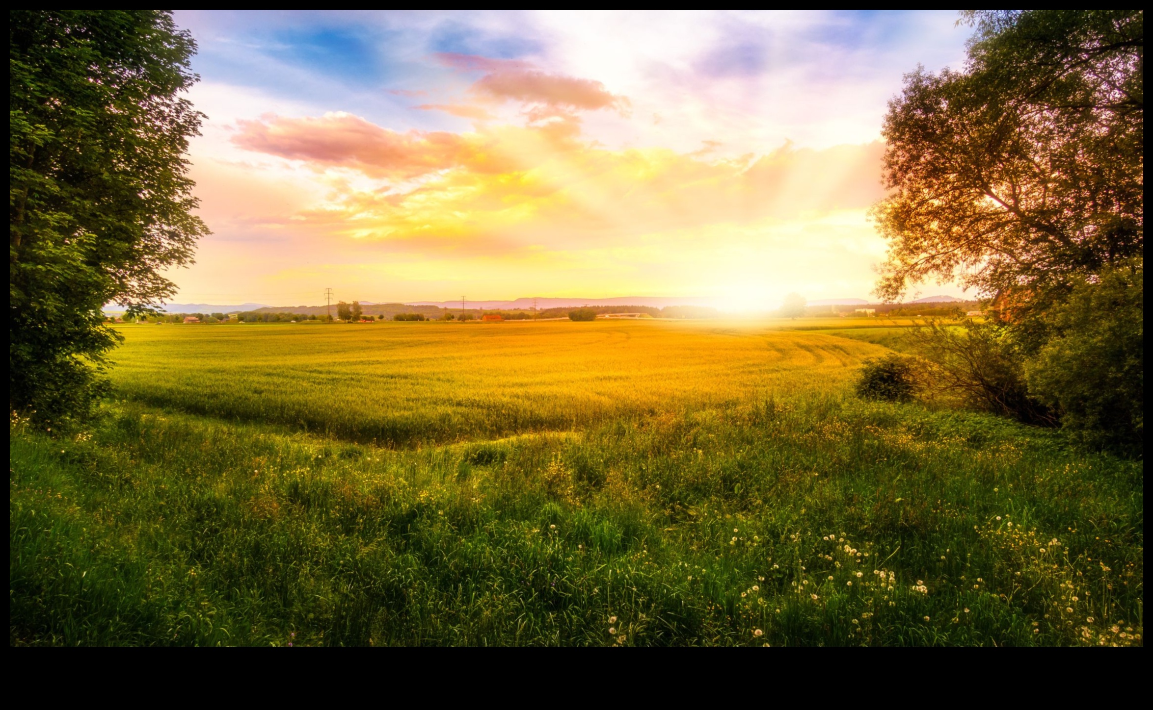 Seninătatea răsăritului: Lumina dimineții în cadru natural